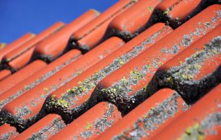 levensduur dakpannen